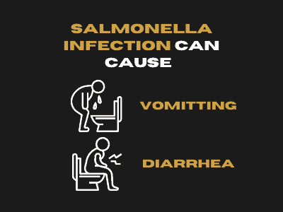 Salmonella in eggs 13