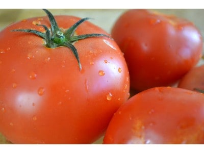 Substitute for tomato paste