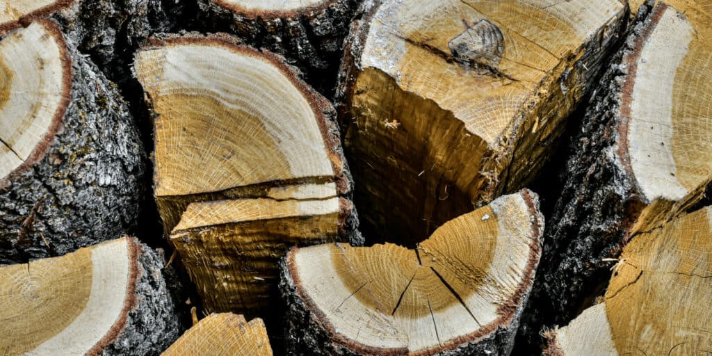 best wood for smoking brisket
