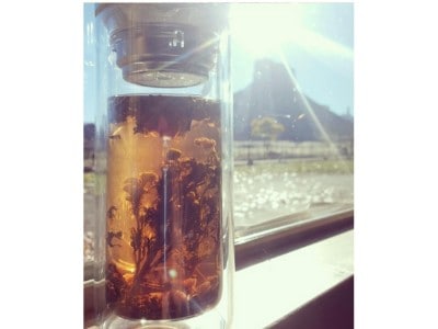 The Best Sun Tea Jar, 6 Recommendations For You (2021) 11 sun tea jar
