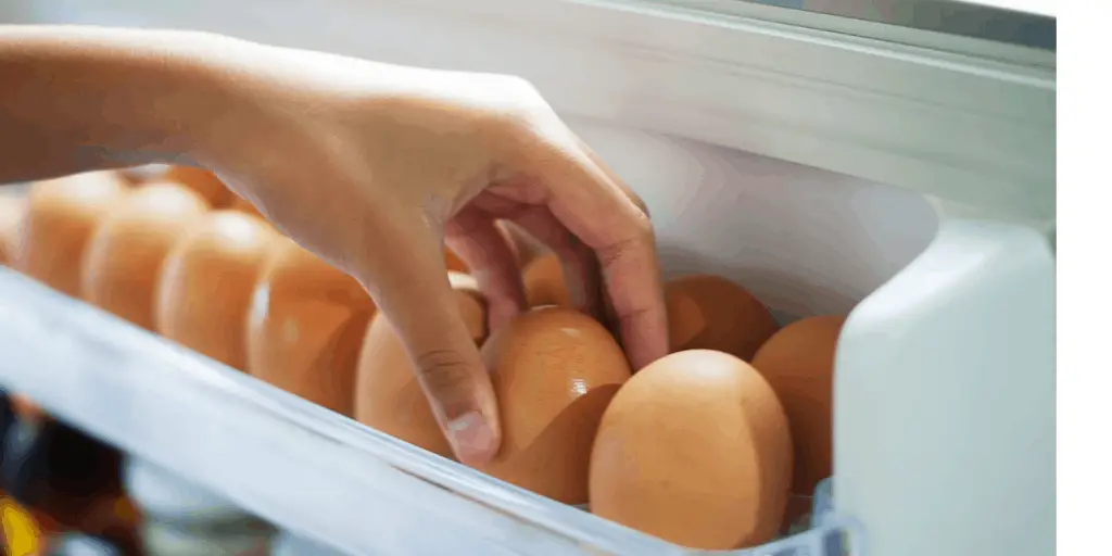 egg holder ideas