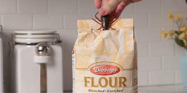 best bag clips