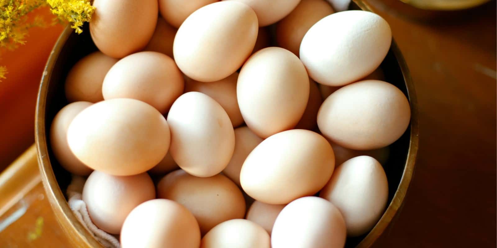 Egg Beaters vs Eggs Cholesterol Concerns Answered