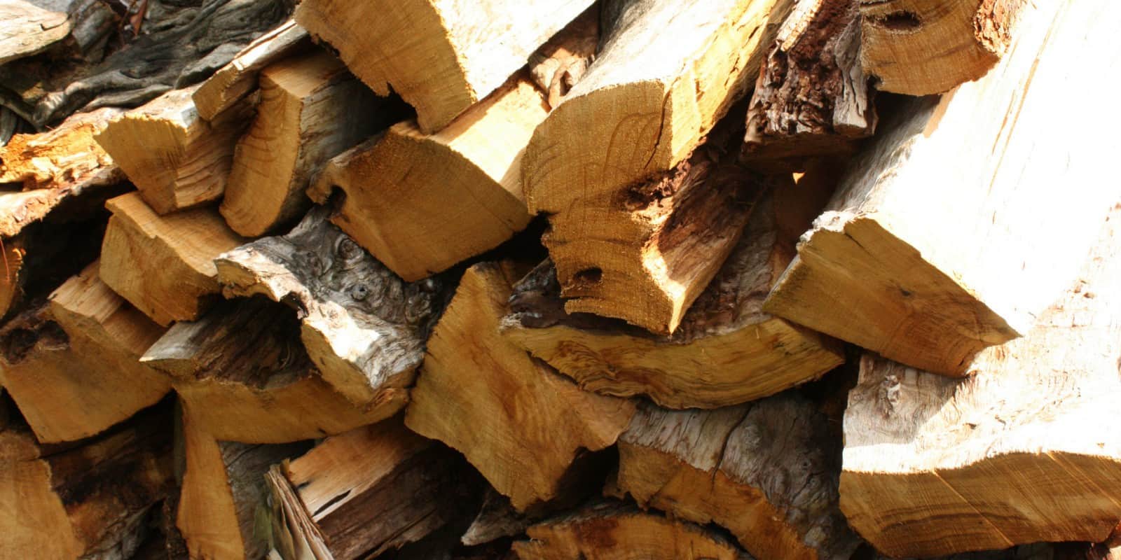 Oak leave Firewood