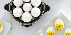 best electric egg cooker
