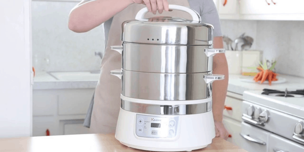 best electric food steamer