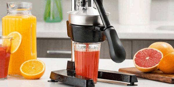 best manual citrus juicer