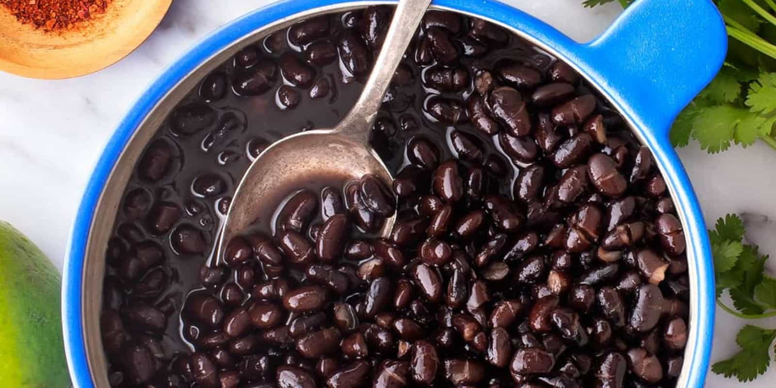 Black Beans Health Benefits May Help You Live Longer