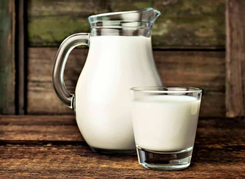 Low carb milk