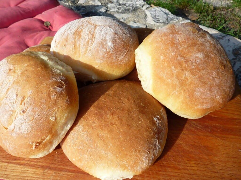 Panini bread