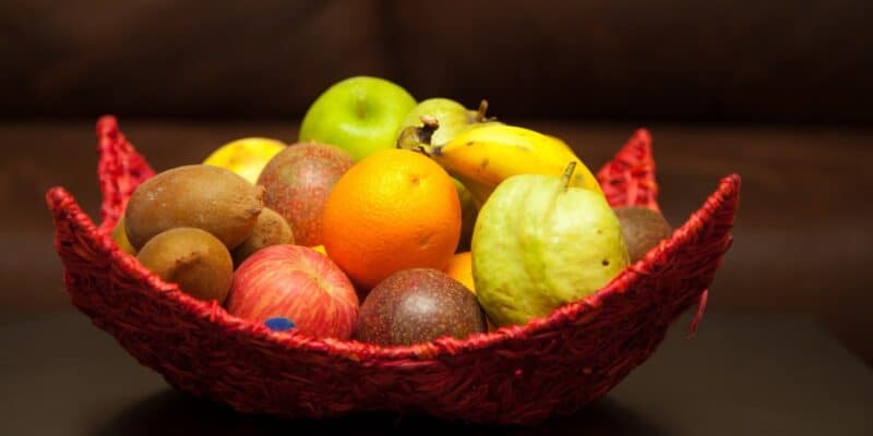 best fruit bowls