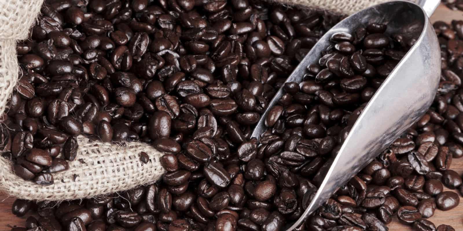 Learn How Oily Coffee Beans Can Ruin Your Espresso Machine