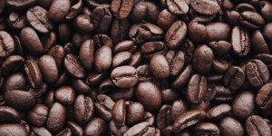 tips for picking coffee beans