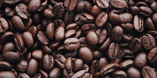 tips for picking coffee beans