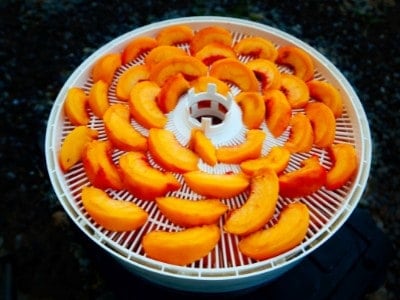 Food dehydrator