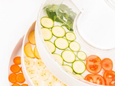 Food dehydrator