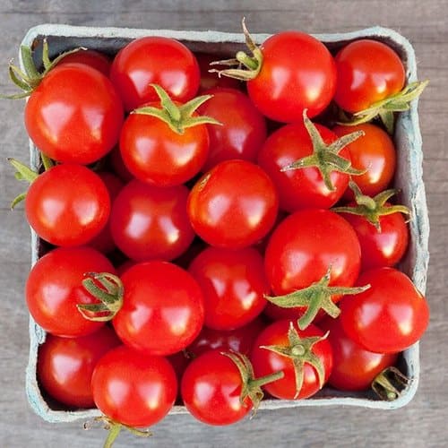 Cherry tomato salsa