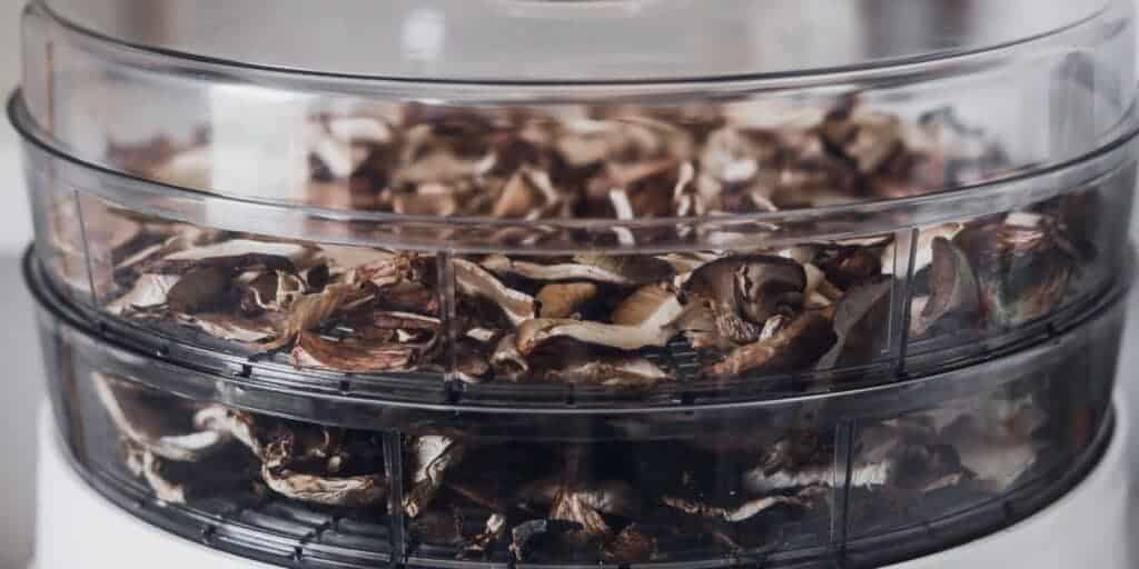 Food Dehydrator