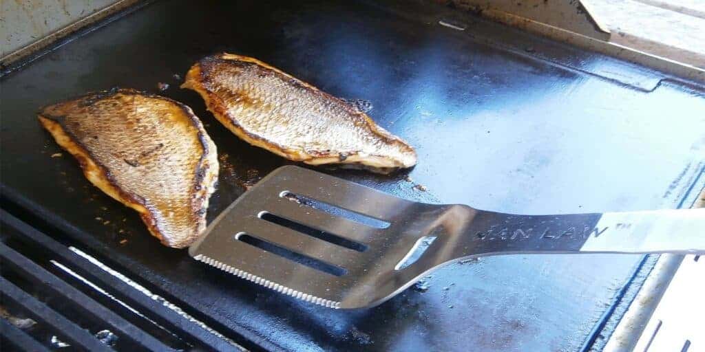 fish spatula