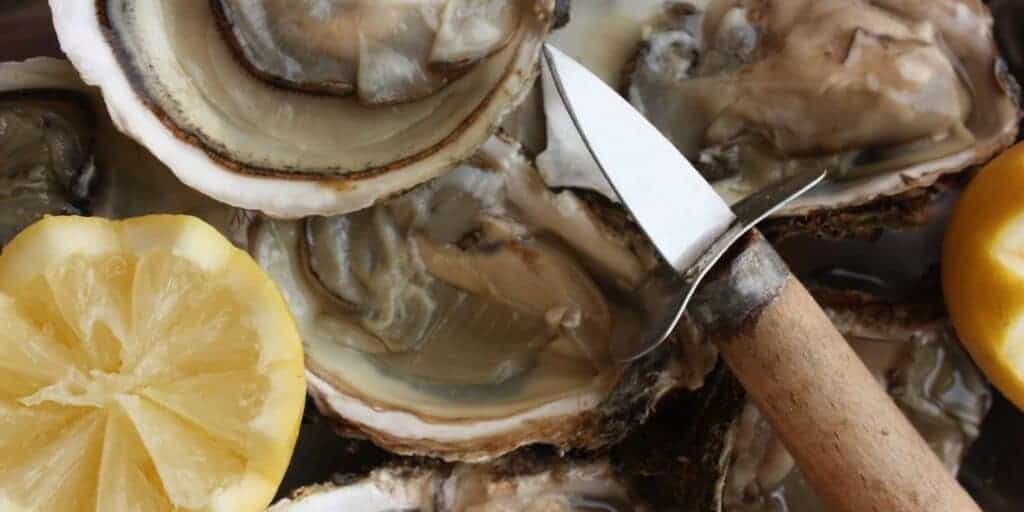 Oyster Knife