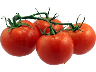 Tomato 1