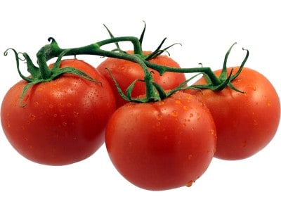 Tomato