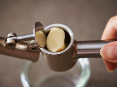 Garlic press