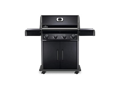 Best napoleon grills on amazon