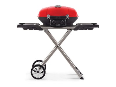 Best napoleon grills on amazon