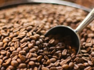 How big is coffee scoop