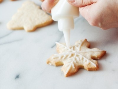 Squeeze bottle for icing cookies