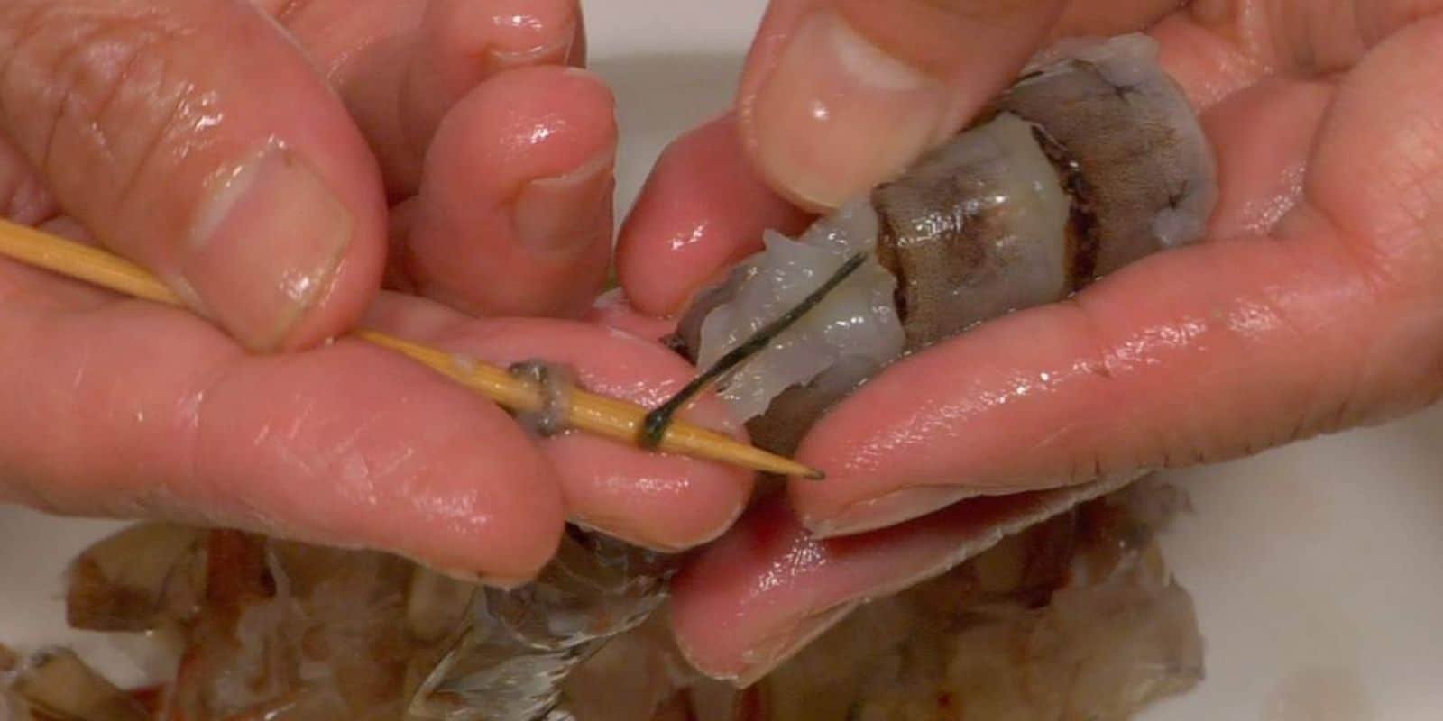 do shrimp have two poop veins