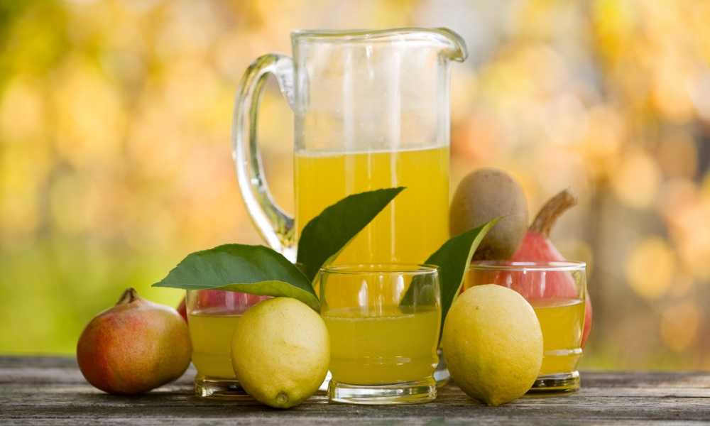 Manual citrus juicer