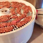 Commercial food dehydrator