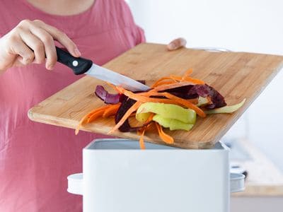 Electric kitchen food composter