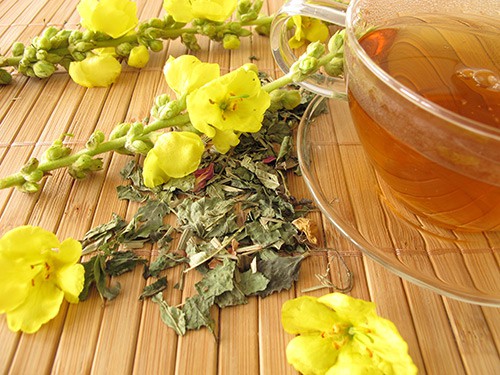 Mullein tea