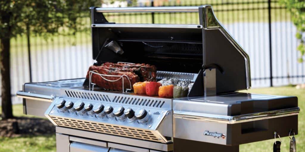 Best Napoleon Grills on Amazon