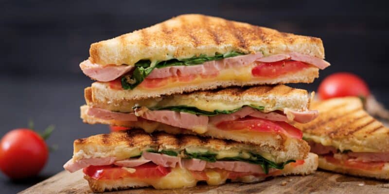 Panini 101: A Guide to Make Amazing Panini Sandwiches 1 panini