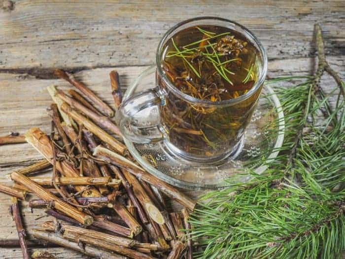 Pine needle tea