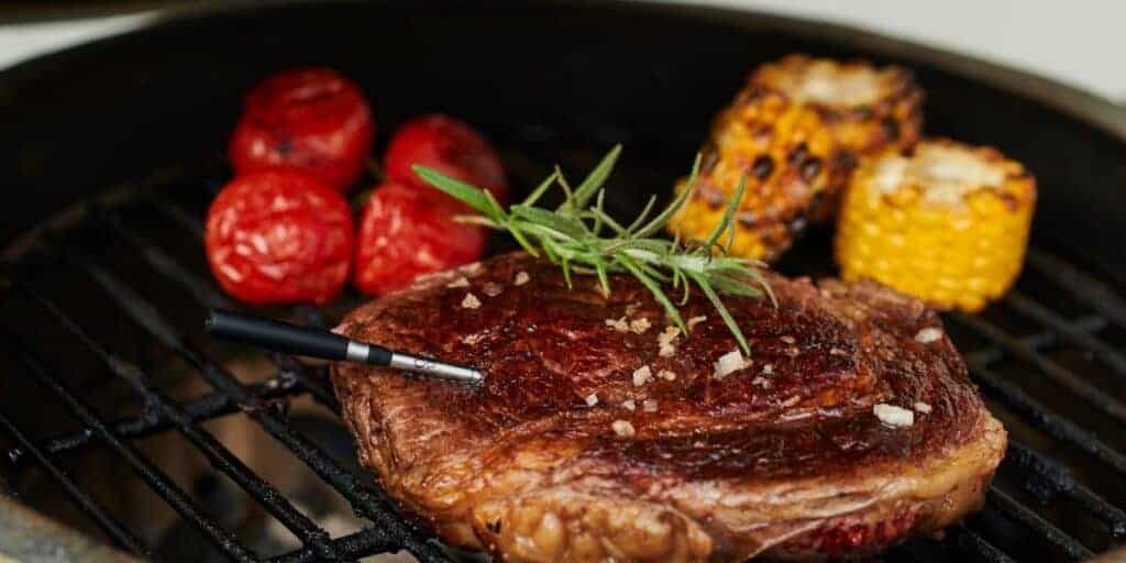 Wireless Grill Thermometer