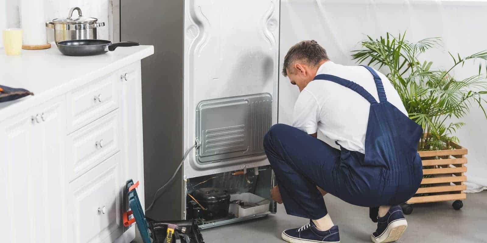 Cooling Woes Kenmore Refrigerator Not Cooling Enough