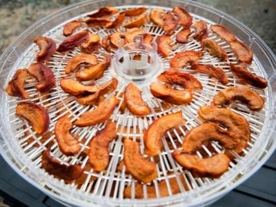 How does a dehydrator work