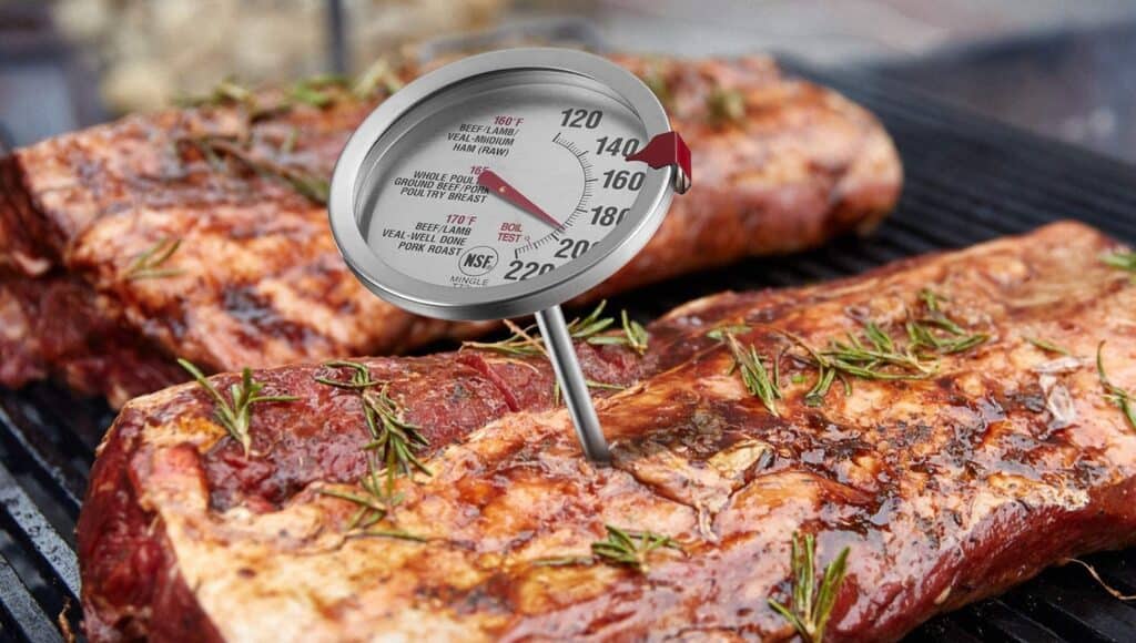 Best meat thermometer