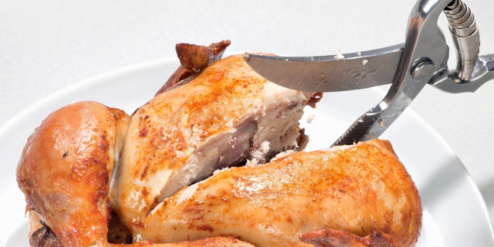 Versatile Poultry Shears Much More Than Just for Birds