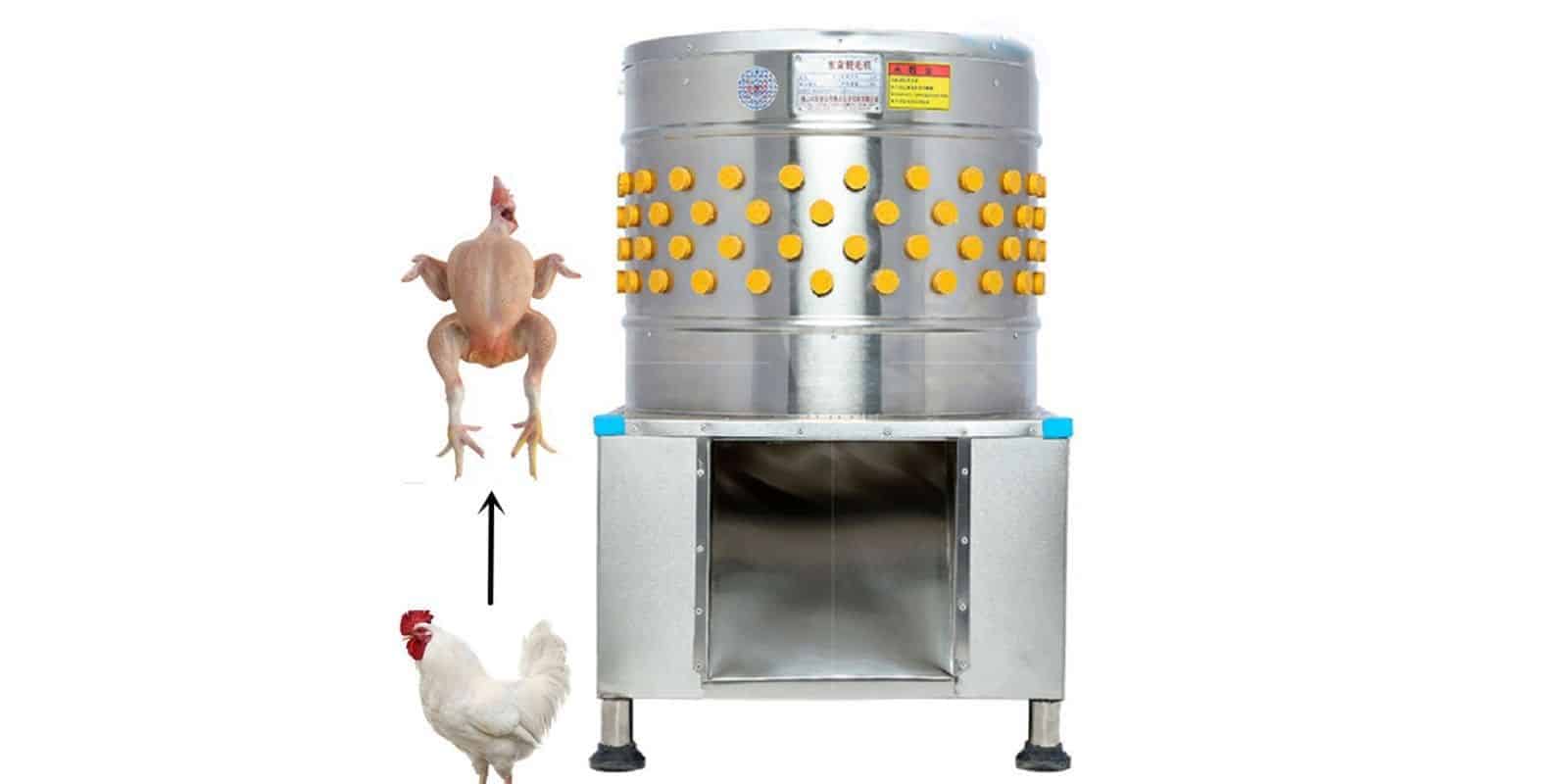 Kitchener Chicken Plucker Poultry Processing Made Easy