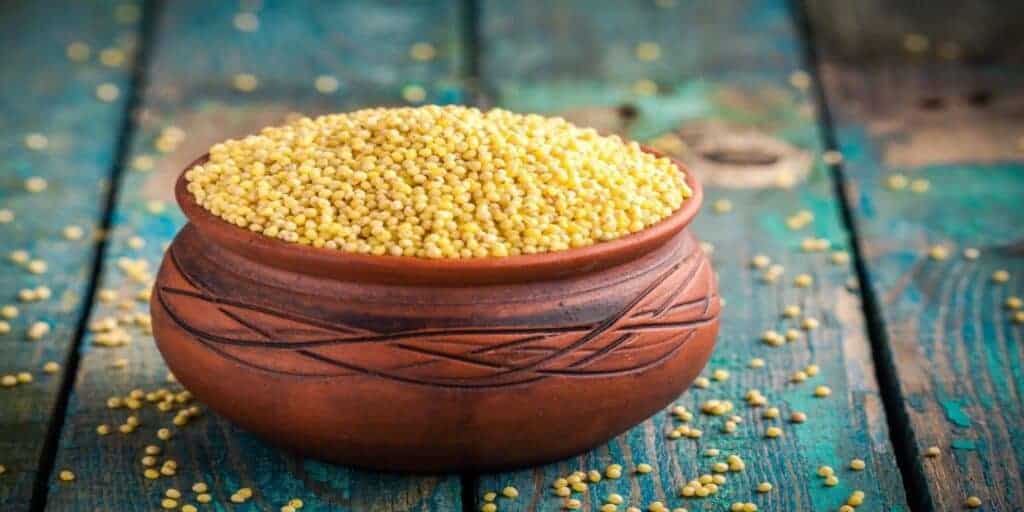 Millet May Lower Diabetes Risks