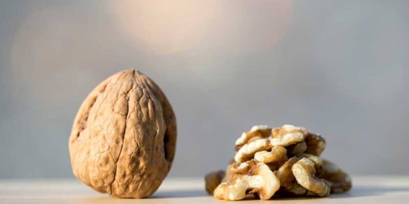 Best Nuts for Type 2 Diabetes