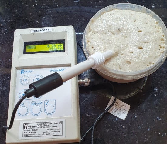 Best ph meter for bread dough