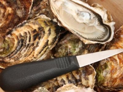 What does an oyster knife look like