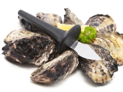 What does an oyster knife look like